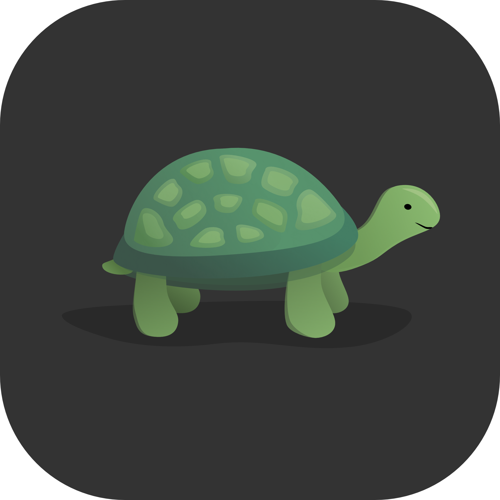Turtle Pet